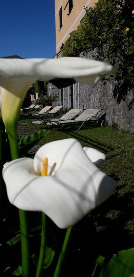 La Gerbera Hotel Levanto Exterior photo